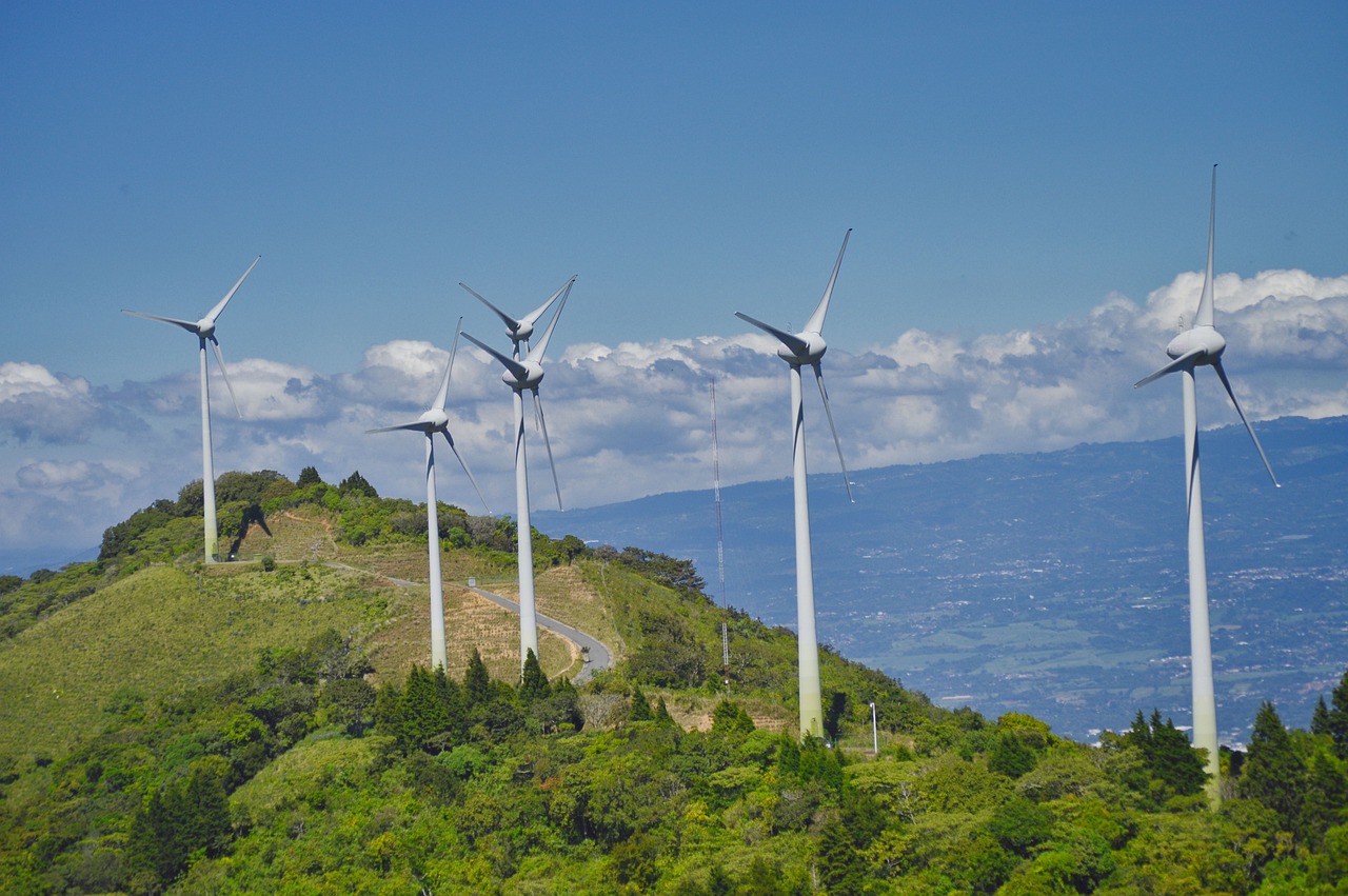 How to Promote Sustainability in Your Neighborhood?